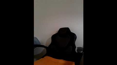 reife_dame @ bongacams on 20250901