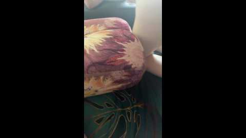 fox_81 @ bongacams on 20250902