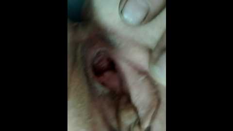 scromnahca @ bongacams on 20250904