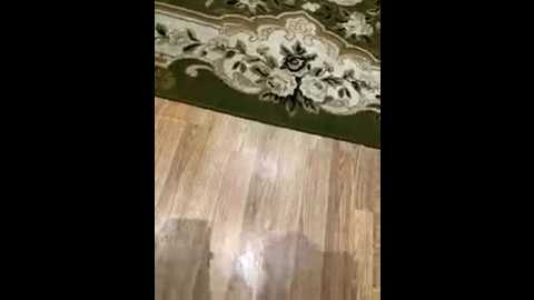 slimus69 @ bongacams on 20250904