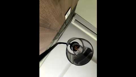 sallyeleins @ bongacams on 20250905