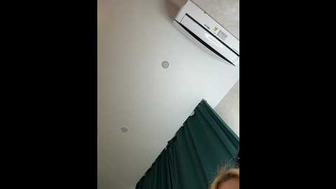 ellidi