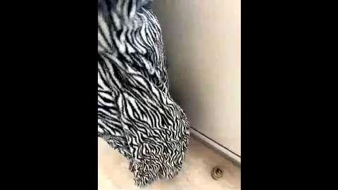 parapara36 @ bongacams on 20250908