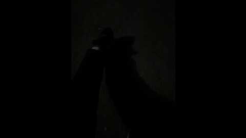 olivia251 @ bongacams on 20250912