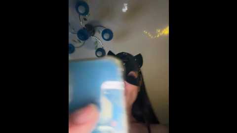 xxxklsdf @ bongacams on 20250912