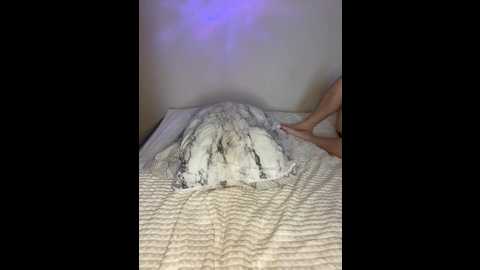 aesstheticss @ bongacams on 20250914