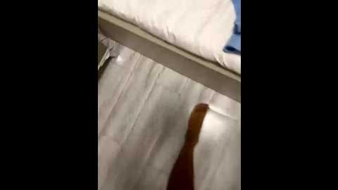 davit1 @ bongacams on 20250914