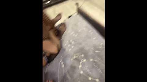 kotandsusie @ bongacams on 20250915