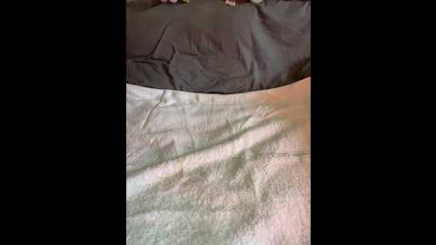 vika1_1 @ bongacams on 20250915