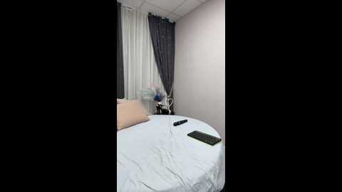 shamelesss @ bongacams on 20250917