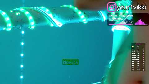 _vikkil0vescheese_ @ bongacams on 20250918