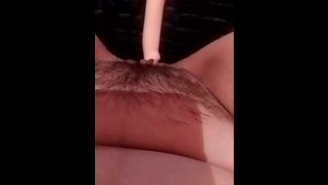 traxuncik8894 @ bongacams on 20250918