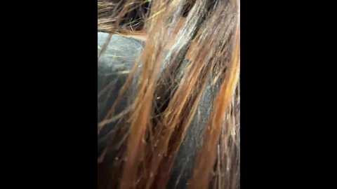 linahelen @ bongacams on 20250919