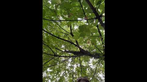 daddysgirl9 @ bongacams on 20250920