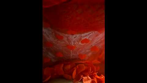 dii_6 @ bongacams on 20250920