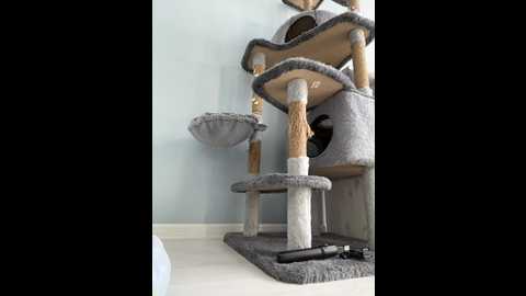 puppy19 @ bongacams on 20250920