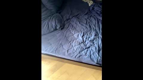 dii_6 @ bongacams on 20250921