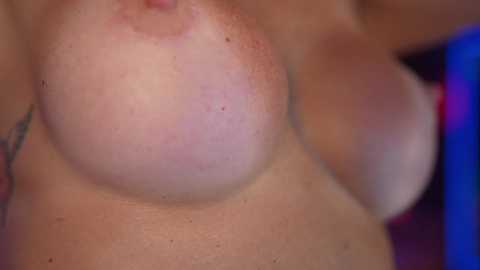 evafashionista @ bongacams on 20250921