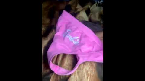 alina2000kex @ bongacams on 20250922