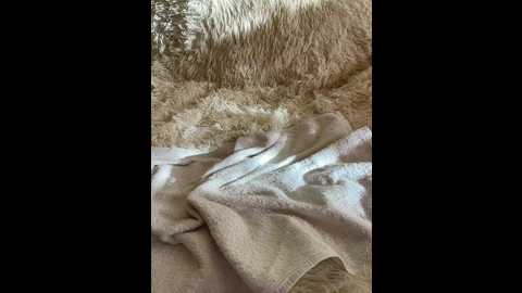 vika1_1 @ bongacams on 20250922