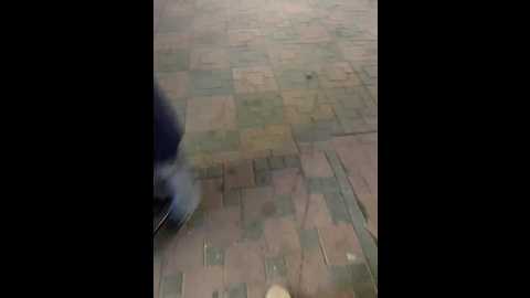 vishenka69 @ bongacams on 20250922