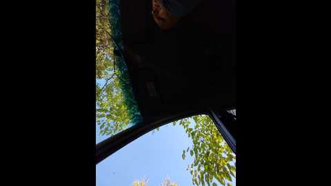 kissmabont @ bongacams on 20250924