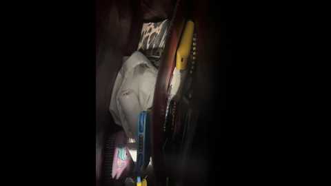 _your_michelle_ @ bongacams on 20250925