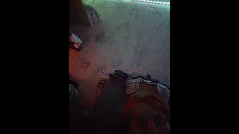 sashalena728 @ bongacams on 20250925