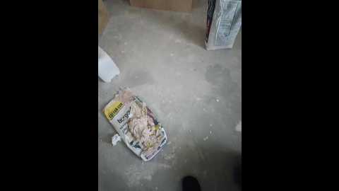 gerda_and_kai @ bongacams on 20250926