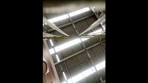 sallyeleins @ bongacams on 20250926