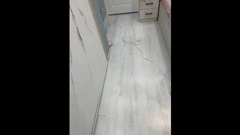 puppy19 @ bongacams on 20250927