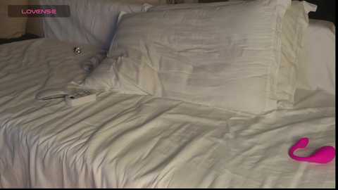 sara_ @ bongacams on 20250929