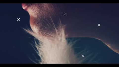 taanni @ bongacams on 20250929