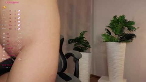 hellypaw @ bongacams on 20250930