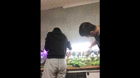 sexicoupl @ bongacams on 20250930