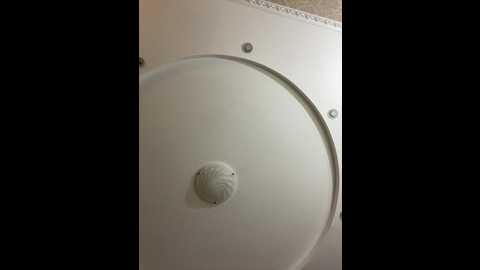 _vaka_ @ bongacams on 20251001