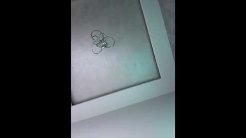 nezukoo @ bongacams on 20251001