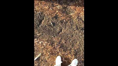 sun_moon @ bongacams on 20251002