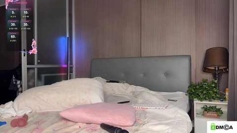 lizzymeoww @ bongacams on 20251003