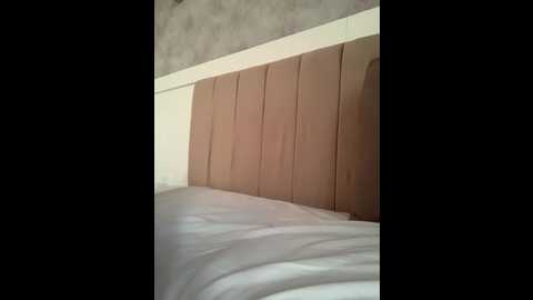 nezukoo @ bongacams on 20251003