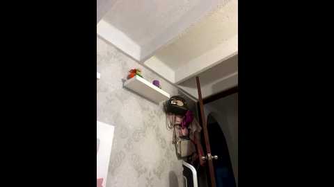 sallyeleins @ bongacams on 20251003