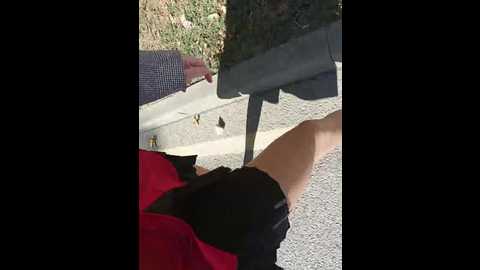 starkristy @ bongacams on 20251003