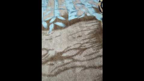 anallovess @ bongacams on 20251004