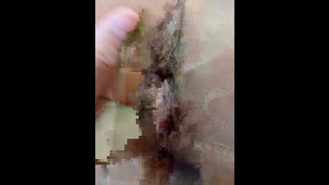 anallovess @ bongacams on 20251004