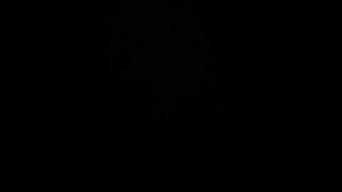 chanel77777 @ bongacams on 20251004