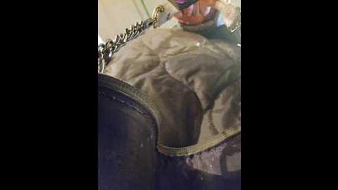 editamilf @ bongacams on 20251006