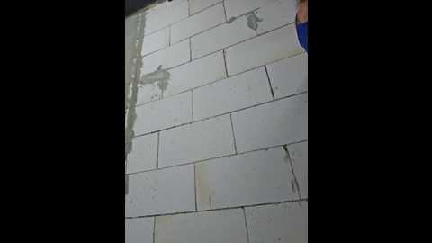 editamilf @ bongacams on 20251006