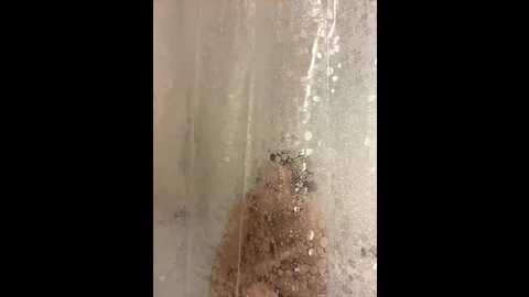 linatwins @ bongacams on 20251006