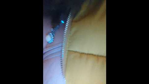 perepyganue @ bongacams on 20251006