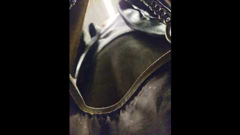 editamilf @ bongacams on 20251007